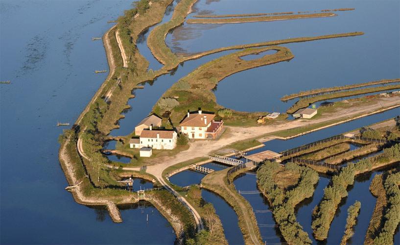 Palazzo Spada - Attico Con Terrazza Vista Fiume In Centro Кодигоро Екстериор снимка